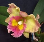 IMG_20201030_1440131.jpg