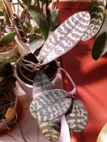20201031_083035.jpg