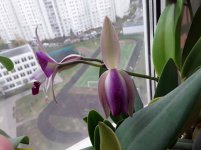 20201031_084216.jpg