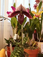 20201102_082833.jpg