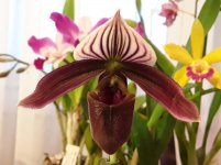 20201102_082913.jpg