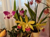 20201102_082531.jpg