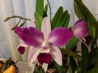 20201102_082507.jpg
