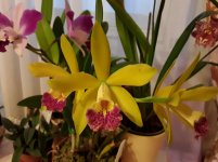 20201102_082406.jpg