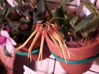 20201102_090715.jpg