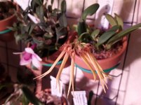 20201102_090945.jpg