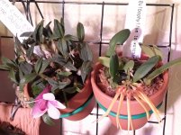 20201102_091044.jpg