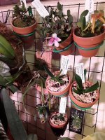 20201102_104627.jpg