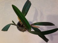 20201102_122853.jpg