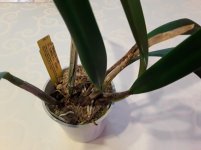 20201102_122911.jpg