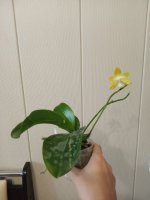 IMG_20201102_151313.jpg