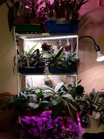 20201102_161733.jpg