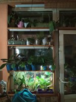 IMG20201103020950.jpg