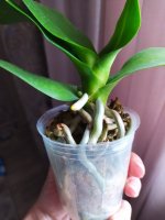 IMG_20201103_134440.jpg