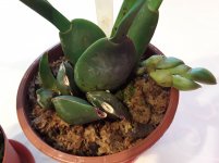 20201103_134454.jpg