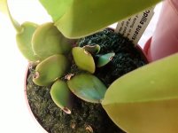 20201103_134649.jpg