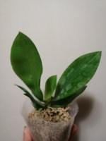 IMG_20201103_191604.jpg