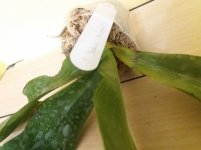 20201104_153315.jpg