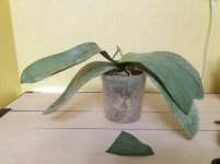 20201104_153204.jpg