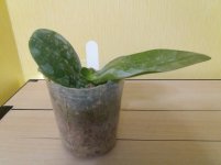 20201104_153234.jpg