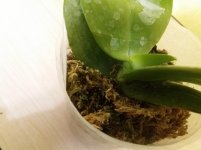 20201104_153244.jpg