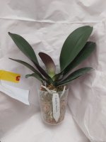 20201105_143406.jpg