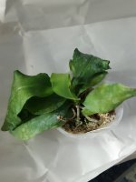 20201105_192310.jpg