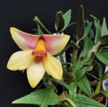 IMG_20201104_144359~2.jpg