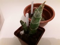 20201106_072912.jpg