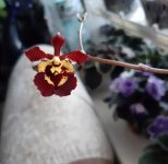 20201106_124858.jpg