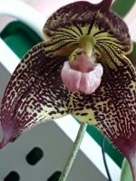 20201106_140448.jpg