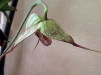20201106_134122.jpg