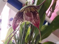 20201106_134040.jpg