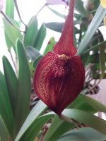20201106_141127.jpg