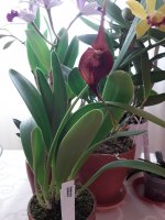 20201106_141212.jpg