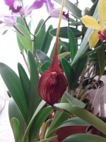 20201106_141247.jpg
