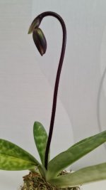 20201106_154139.jpg