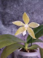 IMG_20201106_162408.jpg