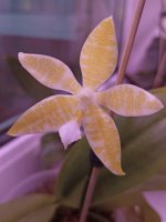 IMG_20201106_162943.jpg