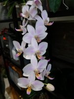 20201007_083537.jpg