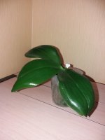 20201106_202508.jpg