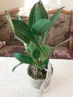 20201107_090741.jpg