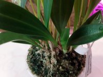 20201107_090804.jpg