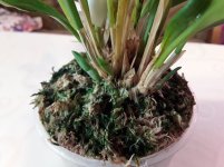 20201107_090831.jpg