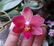 20201107_094431.jpg