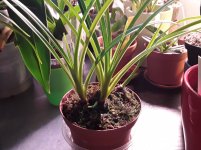 20201107_094105.jpg