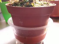 20201107_094025.jpg
