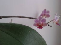 20120110_193856.jpg
