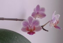 20120110_193903.jpg