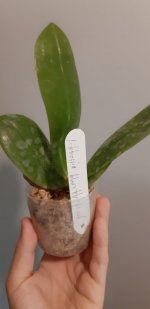 20201104_144353.jpg